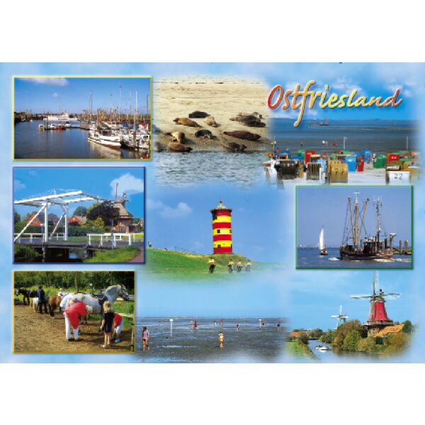 Ostfriesland Postkarten Seehunde Pferde Wattenmeer