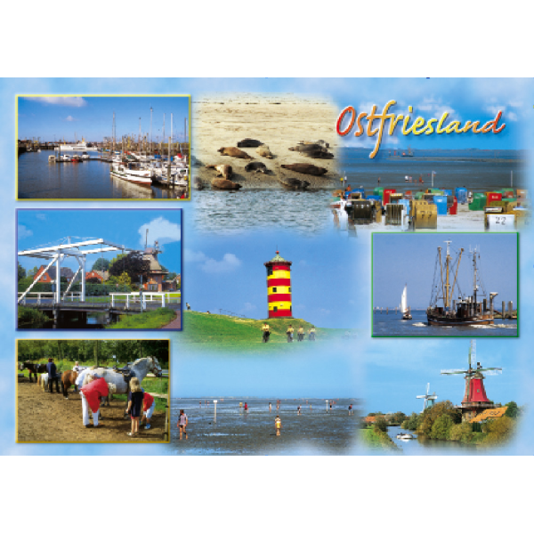 Ostfriesland Postkarten Seehunde Pferde Wattenmeer