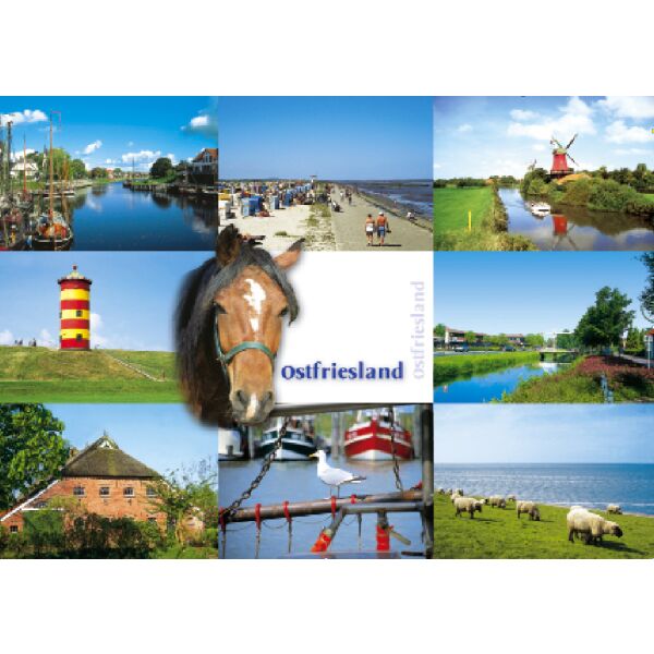 Ostfriesland Postkarten Kanal Pferd Schafe Möwe Meer