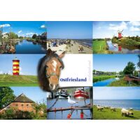 Ostfriesland Postkarten Kanal Pferd Schafe Möwe Meer