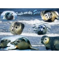 Greetsiel Tischset Seehunde Leuchtturm Hafen