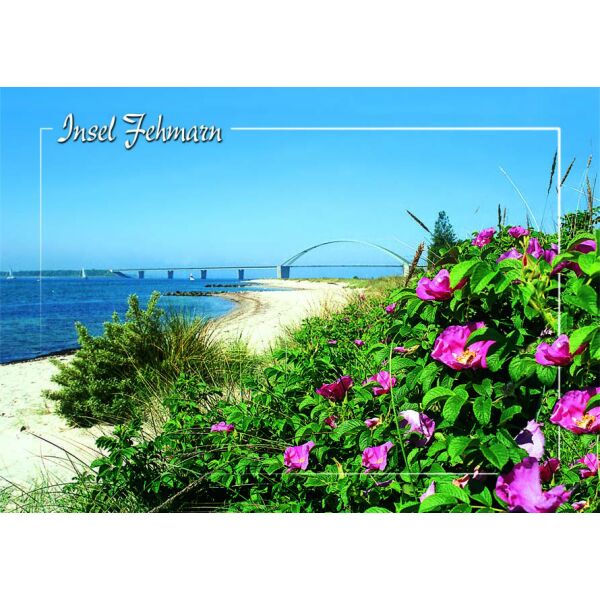 Insel Fehmarn Postkarten Strand Fehmarnsundbrücke