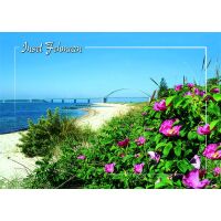 Insel Fehmarn Postkarten Strand Fehmarnsundbrücke