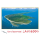 Insel Langeoog Postkarte Ansichtskarte Nordseeinsel Langeoog Luftaufnahme