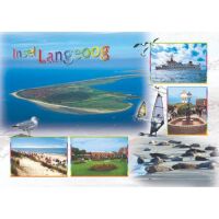 Insel Langeoog Postkarte Ansichtskarte Seehundbank...