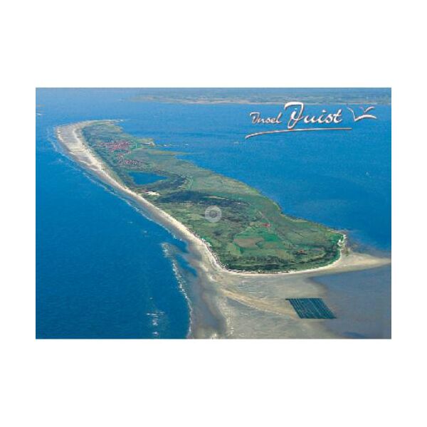 Insel Juist Postkarte Ansichtskarte Möwen wenig Wasser Luftaufnahme