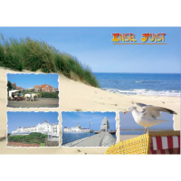 Insel Juist Postkarte Ansichtskarte Möwe auf...