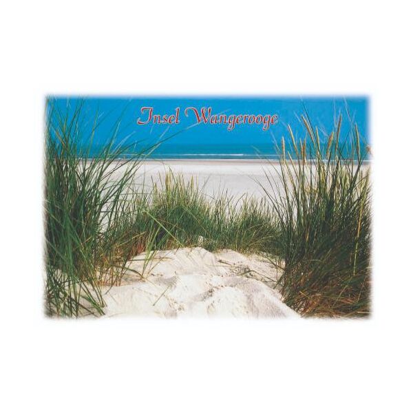 Insel Wangerooge Postkarten Gras im Sand mit Meer