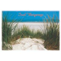 Insel Wangerooge Postkarten Gras im Sand mit Meer