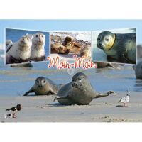 Insel Wangerooge Tischset Moin-Moin Seehunde Strand Westturm