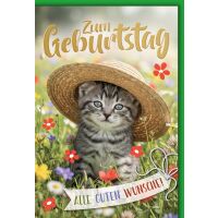 Geburtstag Grußkarte mit Umschlag Kätzchen mit...