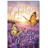 Geburtstag Grußkarte mit Umschlag Schmetterlinge...