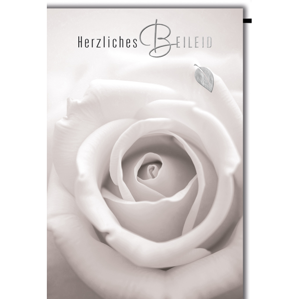 Trauer Kondolenz Beileidskarte mit Umschlag Herzliches Beileid weiße Rosenblüte
