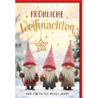 Weihnachten Grußkarte mit Umschlag Drei Wichtel im...