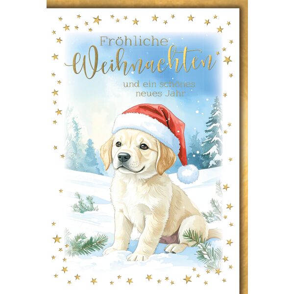 Weihnachten Grußkarte mit Umschlag Hund mit Weihnachtsmütze im Schnee