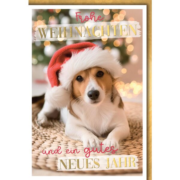 Weihnachten Grußkarte mit Umschlag Jack Russell mit Mütze
