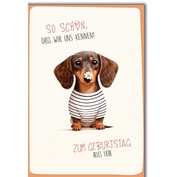 Geburtstag Grußkarte mit Umschlag Dackel mit gestreiftem Shirt