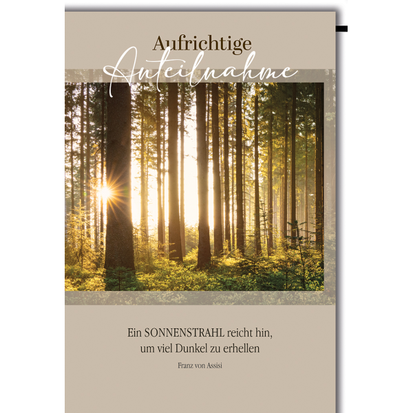 Trauer Kondolenz Beileidskarte mit Umschlag Aufrichtige Anteilnahme Sonne im Wald
