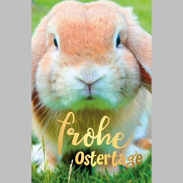 Oster-Gartenflagge 'Frohe Ostern' Mit Hasen & Blumen – Doppelseitig, Aus Jute, Für Garten & Hof