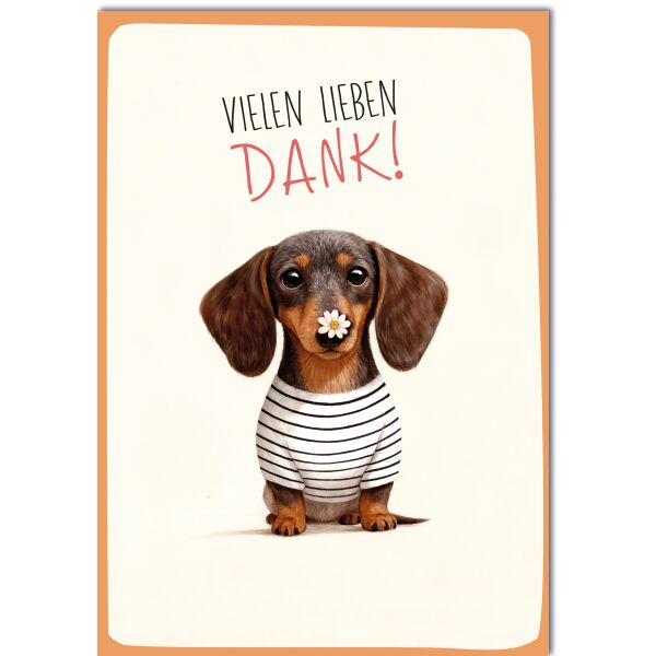 Danke A4-Format große Grußkarte mit Umschlag Dackel mit gestreiftem Shirt