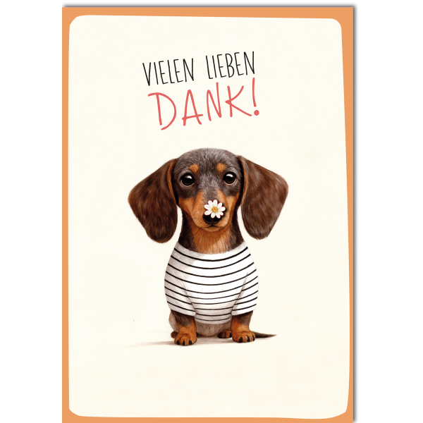 Danke A4-Format große Grußkarte mit Umschlag Dackel mit gestreiftem Shirt