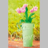 Ostern Glückwunschkarte mit Umschlag rosa Tulpen in grünem Eimer