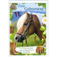 11. Geburtstag Glückwunschkarte mit Zahl 11 und...