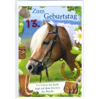 13. Geburtstag Glückwunschkarte mit Zahl 13 und...