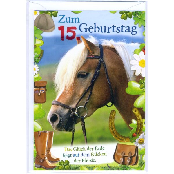 15. Geburtstag Glückwunschkarte mit Zahl 15 und Umschlag Pferd das Glück der Erde liegt auf dem Rücken der Pferde