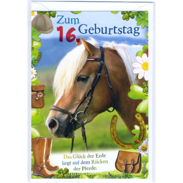 16. Geburtstag Glückwunschkarte mit Zahl 16 und Umschlag Pferd das Glück der Erde liegt auf dem Rücken der Pferde