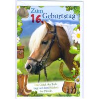 16. Geburtstag Glückwunschkarte mit Zahl 16 und...