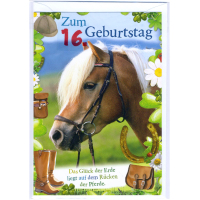16. Geburtstag Glückwunschkarte mit Zahl 16 und...