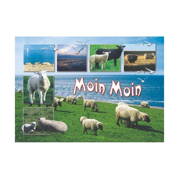 Allgemein Postkarten Motive 211