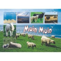 Allgemein Postkarten Motive 211