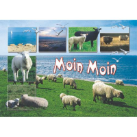 Allgemein Postkarten Motive 211