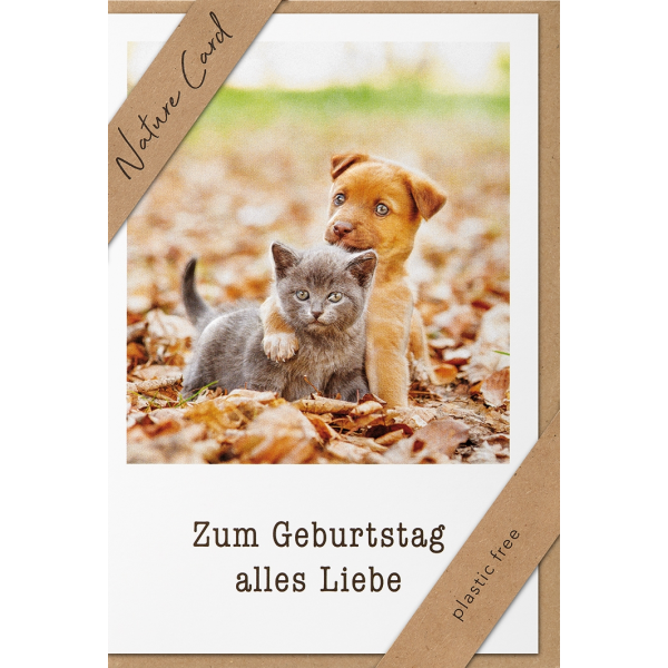 Sortiment Nature Cards Foto - 384 plastikfreie Glückwunschkartenmit Umschlägen - 64 Dekore - Bundle UVP: € 1148,16