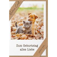 Sortiment Nature Cards Foto - 384 plastikfreie Glückwunschkartenmit Umschlägen - 64 Dekore - Bundle UVP: € 1148,16