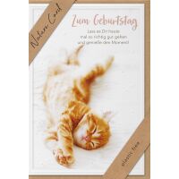 Sortiment Nature Cards Foto - 384 plastikfreie Glückwunschkartenmit Umschlägen - 64 Dekore - Bundle UVP: € 1148,16