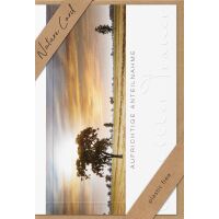 Sortiment Nature Cards Foto - 384 plastikfreie Glückwunschkartenmit Umschlägen - 64 Dekore - Bundle UVP: € 1148,16