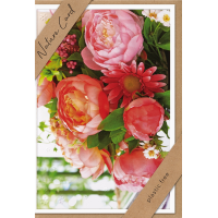 Sortiment Nature Cards Foto - 384 plastikfreie Glückwunschkartenmit Umschlägen - 64 Dekore - Bundle UVP: € 1148,16