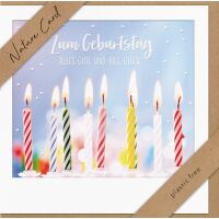 Sortiment Nature Cards Foto - 384 plastikfreie Glückwunschkartenmit Umschlägen - 64 Dekore - Bundle UVP: € 1148,16