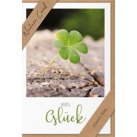 Sortiment Nature Cards Foto - 384 plastikfreie Glückwunschkartenmit Umschlägen - 64 Dekore - Bundle UVP: € 1148,16