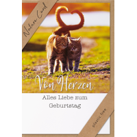 Sortiment Nature Cards Foto - 384 plastikfreie Glückwunschkartenmit Umschlägen - 64 Dekore - Bundle UVP: € 1148,16