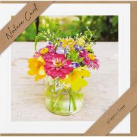 Sortiment Nature Cards Foto - 384 plastikfreie Glückwunschkartenmit Umschlägen - 64 Dekore - Bundle UVP: € 1148,16