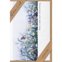 Sortiment Nature Cards Foto - 384 plastikfreie Glückwunschkartenmit Umschlägen - 64 Dekore - Bundle UVP: € 1148,16