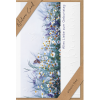 Sortiment Nature Cards Foto - 384 plastikfreie Glückwunschkartenmit Umschlägen - 64 Dekore - Bundle UVP: € 1148,16