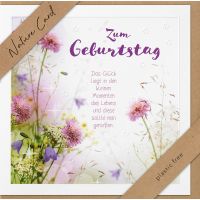 Sortiment Nature Cards Foto - 384 plastikfreie Glückwunschkartenmit Umschlägen - 64 Dekore - Bundle UVP: € 1148,16