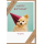 Sortiment Nature Cards Foto - 384 plastikfreie Glückwunschkartenmit Umschlägen - 64 Dekore - Bundle UVP: € 1148,16
