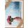 Sortiment Nature Cards Foto - 384 plastikfreie Glückwunschkartenmit Umschlägen - 64 Dekore - Bundle UVP: € 1148,16