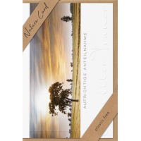 Sortiment Nature Cards Foto -384 plastikfreie Karten mit Umschlägen - 64 Dekore mit Drehständer - Bundle UVP: € 1148,16